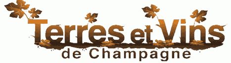 LOGO-TERRES-ET-VINS-DE-CHAMPAGNE